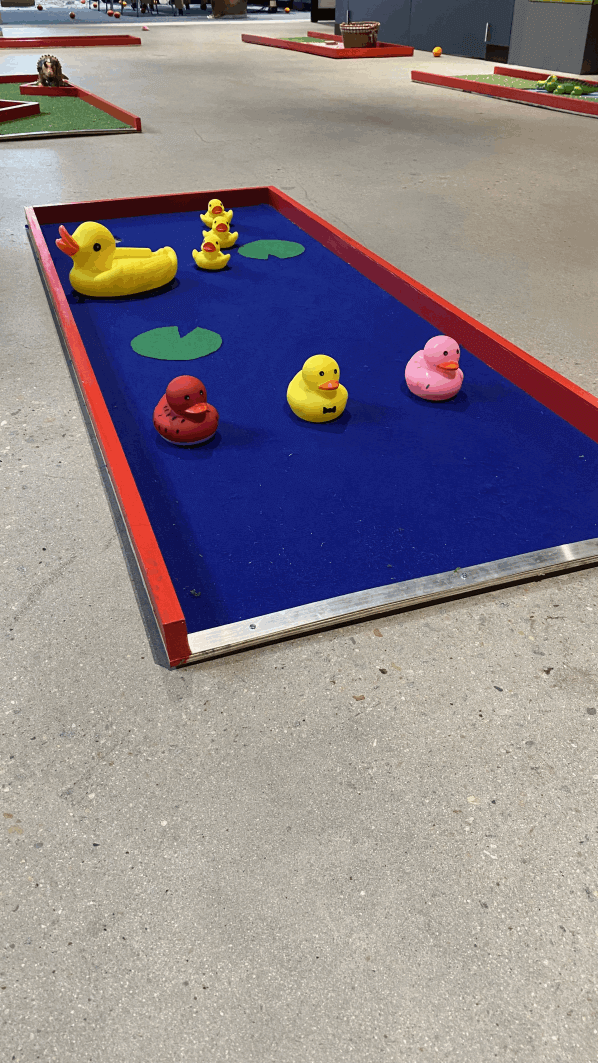 Ducks Mini Golf Course